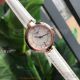 Perfect Replica Tissot Flamingo Mother Of Pearl Dial 26 MM Quartz Ladies Watch T094.210.16.011 (5)_th.jpg